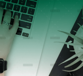 demo-attachment-1110-Contact_Header_Image